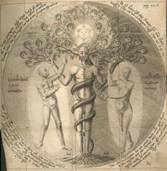 a475886c873f4be0309642c9c291c259