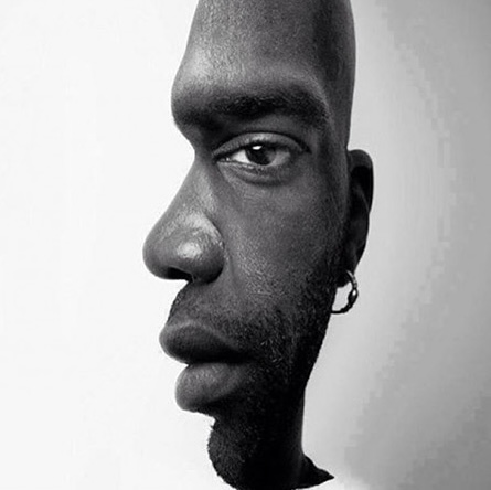 face-illusion
